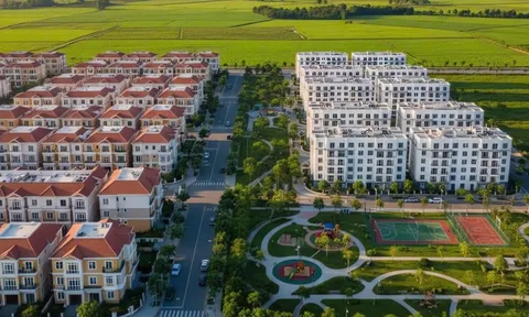 Tập đoàn CNT đầu tư hơn 1.000 tỷ làm khu đô thị ở Gia Lai