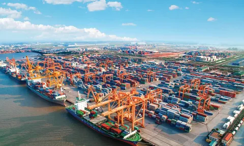 Cảng Hải Phòng lỗ hơn 19 tỷ từ liên doanh khai thác cảng Lạch Huyện