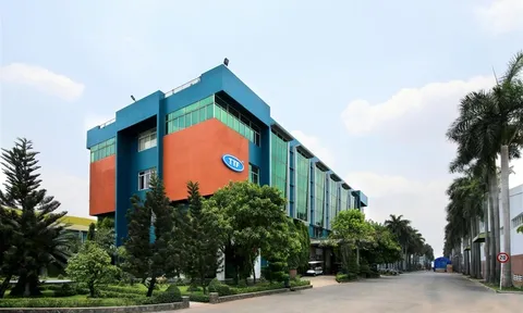 Liên tục bị ‘thổi bay’ lợi nhuận sau kiểm toán, TTF ngụp lặn dưới mệnh giá
