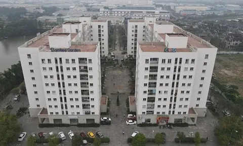 Tp.HCM: Đủ thủ tục mà không khởi công xây nhà ở xã hội sẽ bị thu hồi dự án