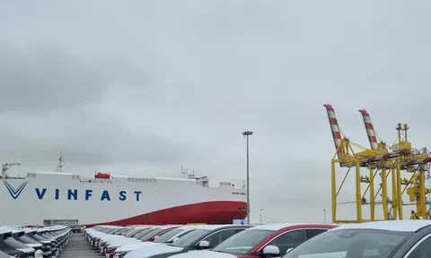 VinFast VF8 của tỷ phú Phạm Nhật Vượng sắp gia nhập một thị trường lạ, nơi Tesla đang chiếm lĩnh thị phần