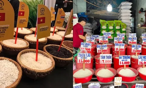 Giá gạo xuất khẩu Việt Nam bị ảnh hưởng thế nào từ lệnh áp trần của Philipines?