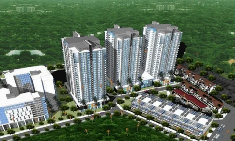 Dịch vụ đầu tư Lucky House báo lãi đột biến gần 142 tỷ đồng