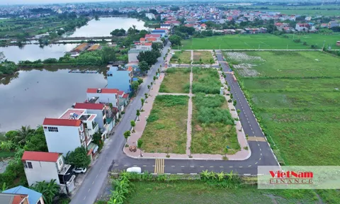 Đấu giá đất Thanh Oai: Chỉ 13 lô đóng tiền, chủ lô đất hơn 100 triệu/m2 bỏ cọc