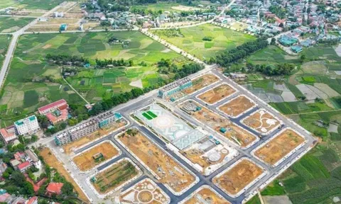 Đánh thuế để kiềm chế giá nhà?