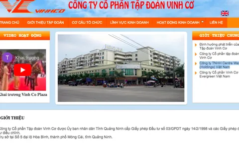 Tập đoàn Vinh Cơ: Chủ 2 trung tâm thương mại lớn, bị phong toả tài khoản