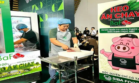 Đầu tư lớn mảng chăn nuôi heo, Nông nghiệp BaF của đại gia Trương Sỹ Bá kinh doanh ra sao?