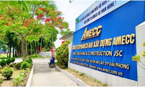 Cơ khí xây dựng AMECC: Bị bêu tên nợ thuế và BHXH, đối tác kiện đòi khoản nợ chây ì nhiều năm