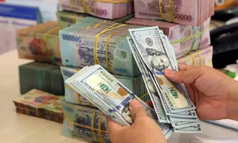 USD tăng nhiệt, tỷ giá trung tâm chính thức vượt mốc 24.000 đồng/USD
