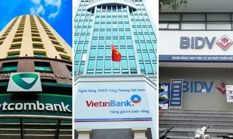 Chính phủ yêu cầu NHNN đẩy nhanh tăng vốn cho nhóm Big3
