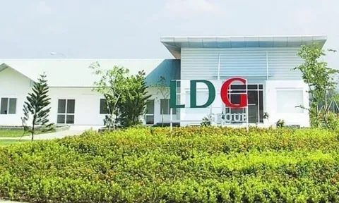 HOSE giữ nguyên diện cảnh báo đối với cổ phiếu LDG
