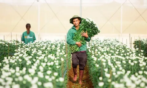 Nợ vay của PAN Farm phình to trong nửa đầu năm 2025