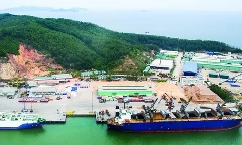 PTSC Thanh Hóa nói gì khi lợi nhuận "bốc hơi" 2,1 tỷ đồng sau kiểm toán?