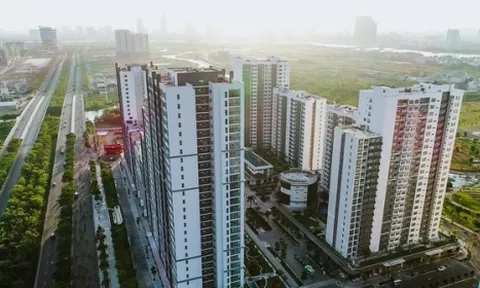 Loạt công ty BĐS nợ thuế làm ăn ra sao: Bài 2: Công ty Thuận Việt: Nợ thuế lớn, kinh doanh thua lỗ