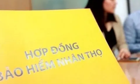 Lợi nhuận bảo hiểm nhân thọ lao dốc trong nửa đầu năm 2025
