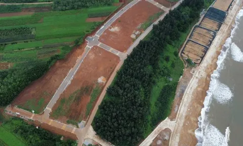 Sốt đất đi qua, hàng loạt lô đất vàng ven biển ở Quảng Trị bị bỏ cọc