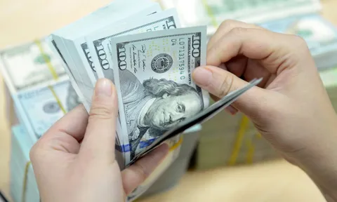 Giá USD tự do giảm mạnh, xuống dưới 25.000 đồng