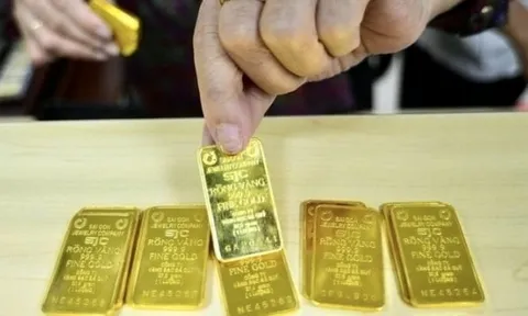 Giá vàng trong nước rơi tự do, nhà đầu tư có nguy cơ thua lỗ