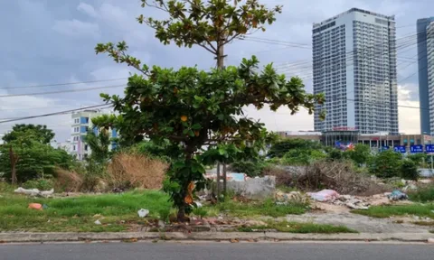 Đà Nẵng: Đấu giá 10.000m2 đất để xây trung tâm thương mại 2.000 tỷ đồng