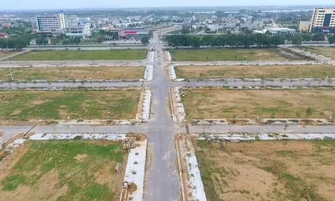 Thanh Hoá và Ninh Bình: Đấu giá hàng chục lô đất, khởi điểm từ 4 triệu/m2