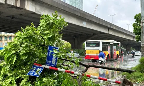 Hà Nội: Trường hợp nào được miễn, giảm thuế do bão số 3?