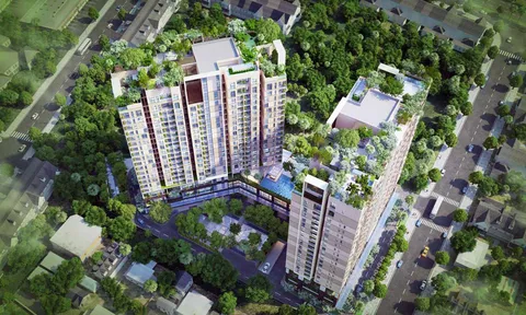 Ông chủ Shizen Home: Thua lỗ triền miên, nặng gánh nợ nần
