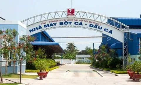 Cổ phiếu DAT tăng gần 40% trong một tuần, HoSE yêu cầu giải trình