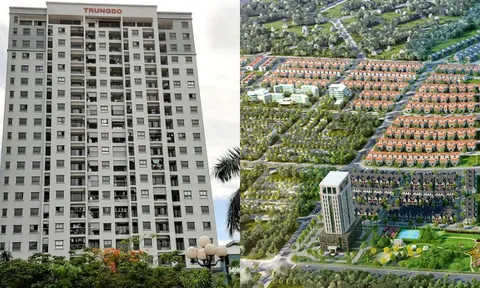 Bị xử phạt do vi phạm khai báo nhiều lần, CTCP Trung Đô đang kinh doanh thế nào?