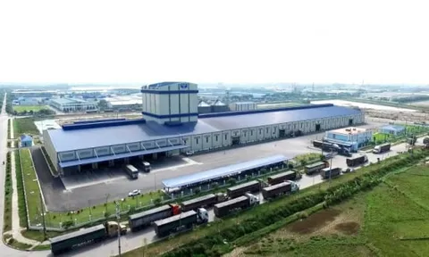 Nông nghiệp Hòa Phát chính thức nộp hồ sơ IPO