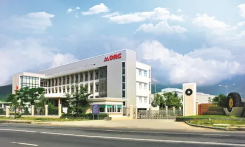 Cao su Đà Nẵng: Lợi nhuận suy giảm 50%, hàng tồn kho liên tục tăng cao