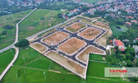 Nhà mặt đường 45 triệu/m2 không ai mua, tranh nhau đất đấu giá 75 triệu/m2