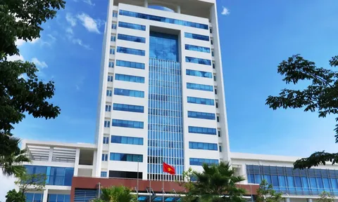 Nợ thuế tiền tỷ, loạt DN bị Hải Quan Đà Nẵng ‘bêu’ tên