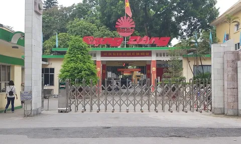 Vi phạm về thuế, Công ty Bóng đèn Phích nước Rạng Đông bị phạt gần 5,3 tỷ đồng