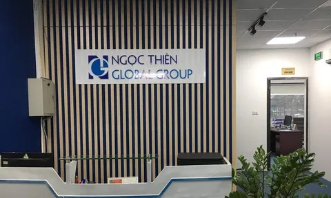 Doanh thu nửa tỷ USD, lợi nhuận Ngọc Thiên Global chỉ "bé hạt tiêu"