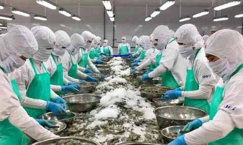 VASEP kiến nghị loạt chính sách thuế, Bộ Tài chính nói gì?