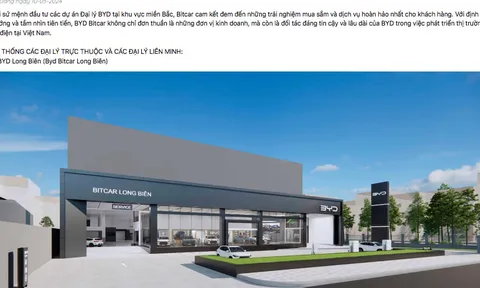 Bitcar Việt Nam: Chuyên bán ô tô Trung Quốc, năm 2024 báo lỗ gần 9,8 tỷ