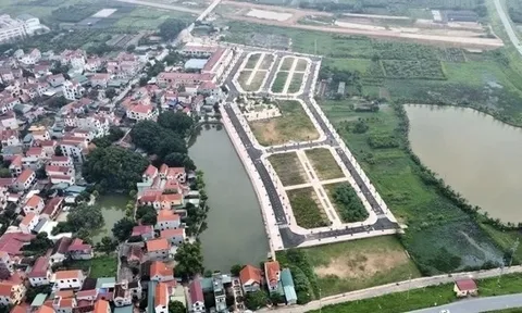 Dừng đấu giá 26 thửa đất tại huyện Đan Phượng
