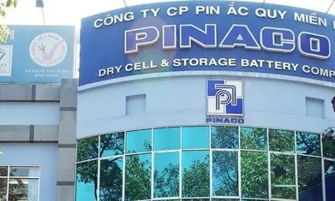 Pinaco sắp chốt quyền trả cổ tức còn lại năm 2023, tỷ lệ 10%