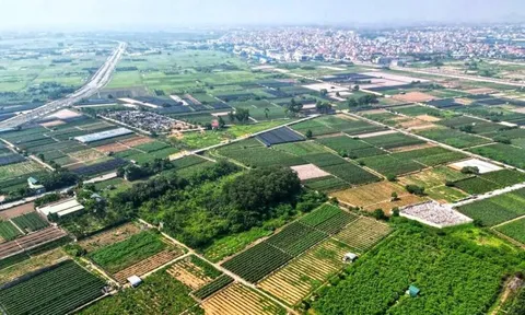 Ông lớn đổ vốn làm dự án chục nghìn tỷ, đất nền Hưng Yên giữ đà tăng giá