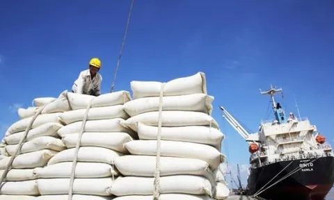 Giá gạo xuất khẩu Việt Nam hạ nhiệt