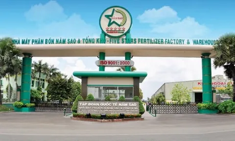 Phân bón Năm Sao bị cưỡng chế ngừng sử dựng hóa đơn vì nợ thuế