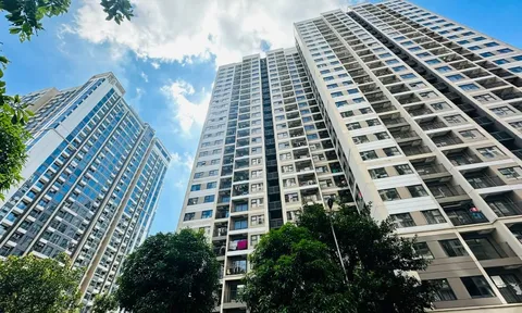 Chung cư vượt 100 triệu/m2, có bao giờ giá căn hộ giảm?