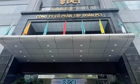 Chi 210 tỷ mua cổ phiếu PC1, Phó Chủ tịch Phan Ngọc Hiếu lấy lại tư cách cổ đông sau 1 năm thoái sạch vốn