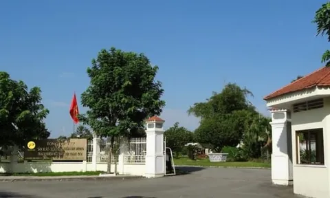 Bình Dương: Sản xuất - Xuất nhập khẩu Bình Dương bị cưỡng chế thuế hơn 144 tỷ đồng