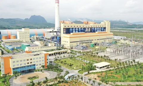 Nhiệt điện Thăng Long: Lợi nhuận âm, gánh nợ gần 10.000 tỷ đồng