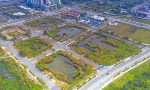 Hà Nội sẽ công khai danh tính người đấu giá đất cao rồi bỏ cọc