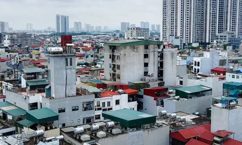 HoREA: Nên quản lý chặt, không nên cấm sự phát triển của chung cư mini