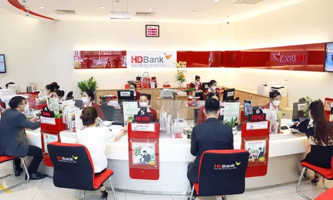 Happy Di- Payroll: Gói chi lương siêu ưu đãi dành cho Doanh nghiệp và người lao động