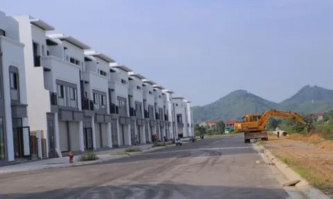 Xây dựng khi chưa được giao đất, Công ty HANO-VID bị phạt gần 4 tỷ đồng
