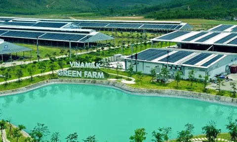 GĐĐH Tài chính Vinamilk chia sẻ về quan điểm và thực hành E-S-G tại doanh nghiệp sữa lớn nhất Việt Nam